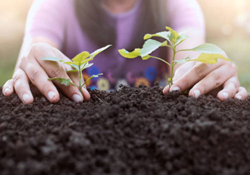 teaser_klein_urban_gardening_500x350