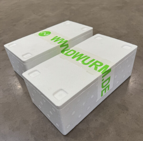 Zwei Packungen mit je 50 Stück Kanadische Tauwürmer