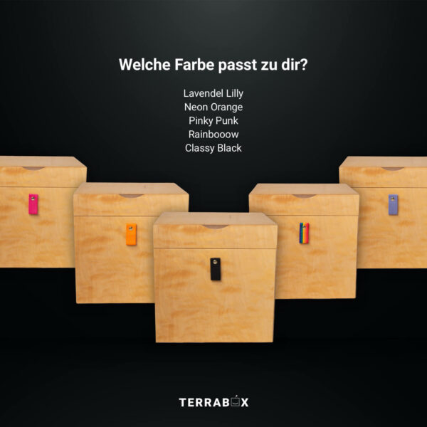 Terrabox P2 Hell Laschen