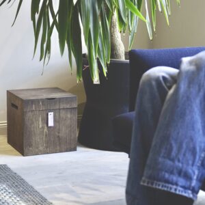 Eine dunkle Terrabox P2 in einem Wohnzimmer Ambiente neben einem Sofa und einer Palme