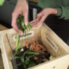 Terrabox_Kompost_küche_4