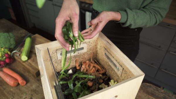 Terrabox_Kompost_küche_4