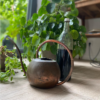 Wurmtee Flüssigdünger in Flasche Eine Flasche Flüssigdünger inmitten von Pflanzen und einer Gießkanne