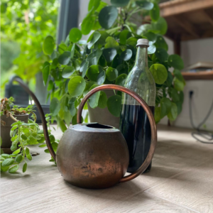 Eine Flasche Flüssigdünger inmitten von Pflanzen und einer Gießkanne